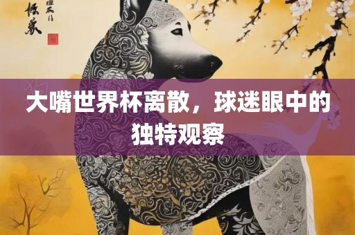 大嘴世界杯离散，球迷眼中的独特观察