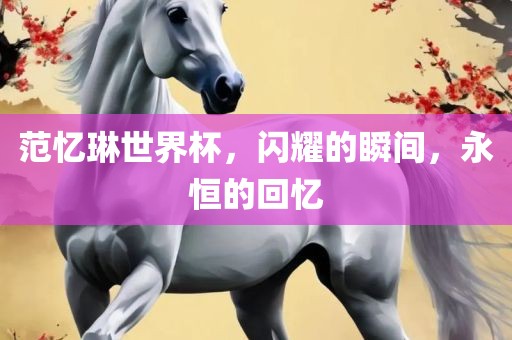 范忆琳世界杯，闪耀的瞬间，永恒的回忆