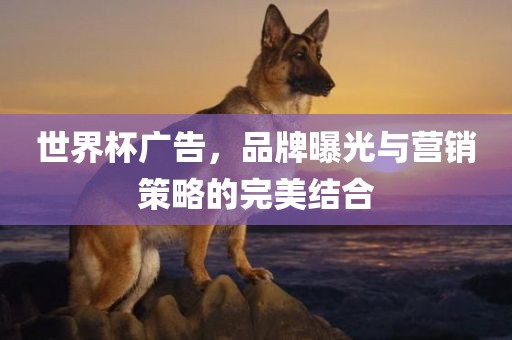 世界杯广告，品牌曝光与营销策略的完美结合