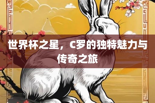 世界杯之星，C罗的独特魅力与传奇之旅