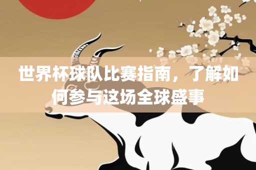 世界杯球队比赛指南，了解如何参与这场全球盛事