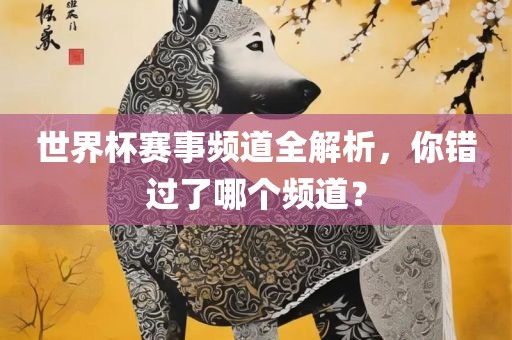 世界杯赛事频道全解析，你错过了哪个频道？