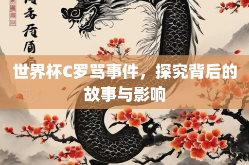 世界杯C罗骂事件，探究背后的故事与影响