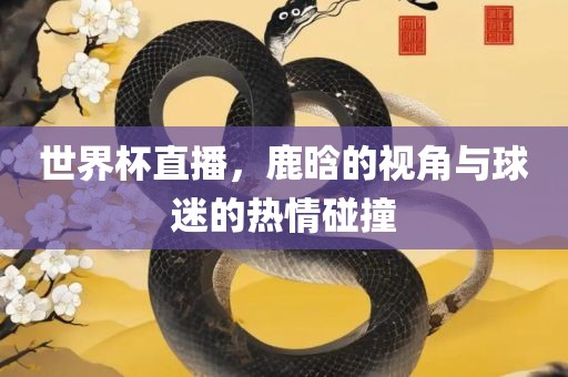 世界杯直播，鹿晗的视角与球迷的热情碰撞