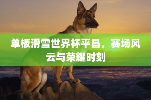 单板滑雪世界杯平昌，赛场风云与荣耀时刻
