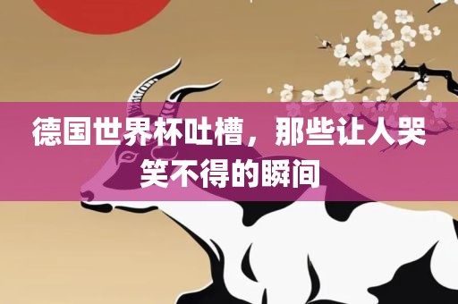 德国世界杯吐槽，那些让人哭笑不得的瞬间
