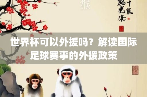 世界杯可以外援吗？解读国际足球赛事的外援政策