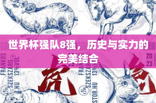 世界杯强队8强，历史与实力的完美结合