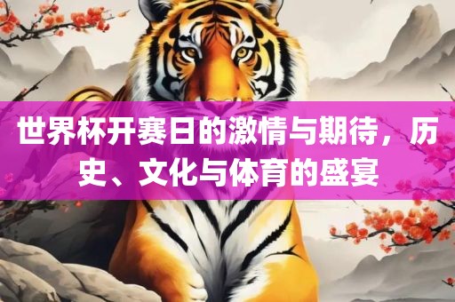 世界杯开赛日的激情与期待，历史、文化与体育的盛宴