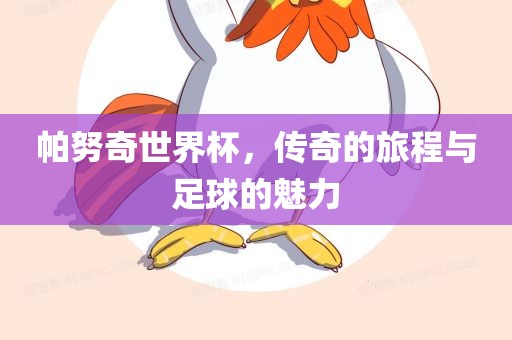 帕努奇世界杯，传奇的旅程与足球的魅力