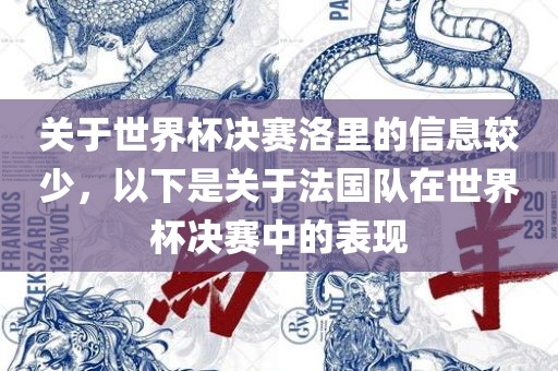 关于世界杯决赛洛里的信息较少，以下是关于法国队在世界杯决赛中的表现