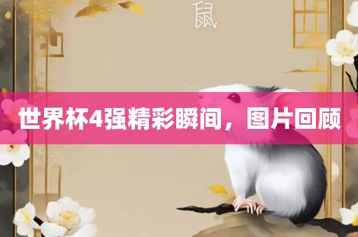 世界杯4强精彩瞬间，图片回顾