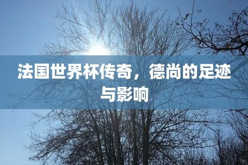 法国世界杯传奇，德尚的足迹与影响