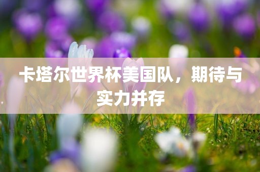 卡塔尔世界杯美国队，期待与实力并存