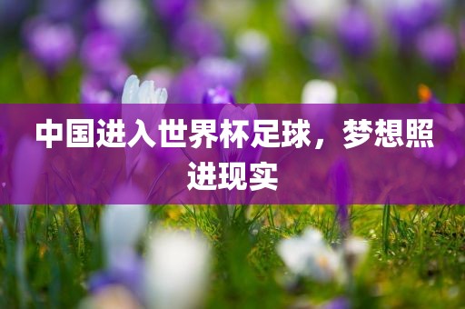 中国进入世界杯足球，梦想照进现实