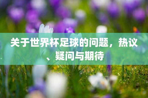 关于世界杯足球的问题，热议、疑问与期待