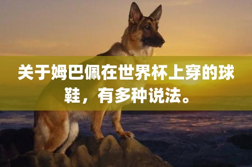 关于姆巴佩在世界杯上穿的球鞋，有多种说法。