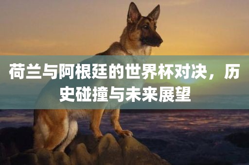 荷兰与阿根廷的世界杯对决，历史碰撞与未来展望