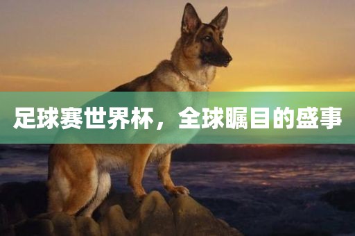 足球赛世界杯，全球瞩目的盛事漯河市盈旭机械设备有限公司