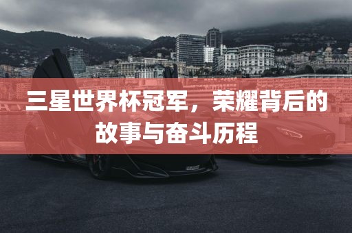 三星世界杯冠军，荣耀背后的故事与奋斗历程