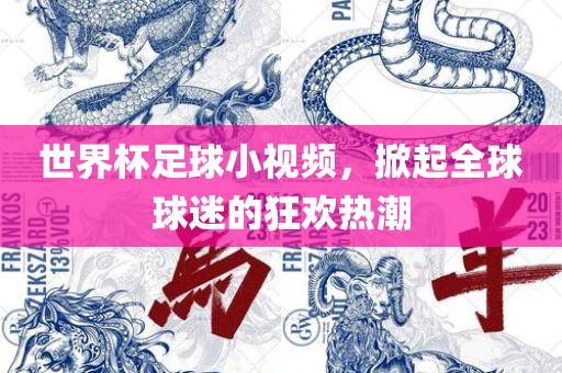 世界杯足球小视频，掀起全球球迷的狂欢热潮