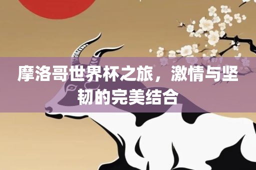 摩洛哥世界杯之旅，激情与坚韧的完美结合漯河市盈旭机械设备有限公司