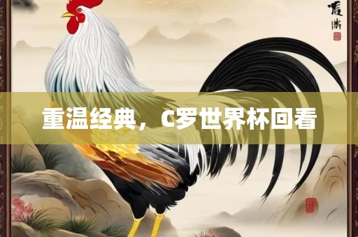 重温经典，C罗世界杯回看