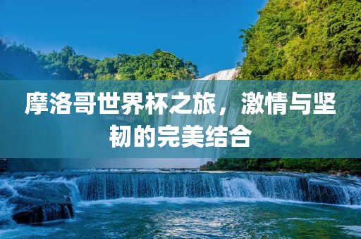 huamei 第6页