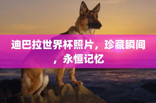 迪巴拉世界杯照片，珍藏瞬间，永恒记忆