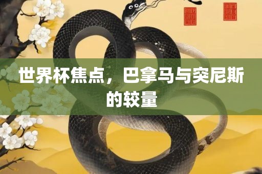 世界杯焦点，巴拿马与突尼斯的较量