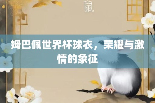姆巴佩世界杯球衣，荣耀与激情的象征
