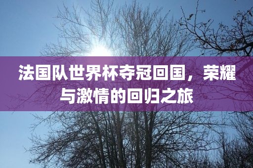 法国队世界杯夺冠回国，荣耀与激情的回归之旅