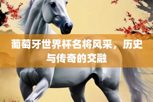 葡萄牙世界杯名将风采，历史与传奇的交融