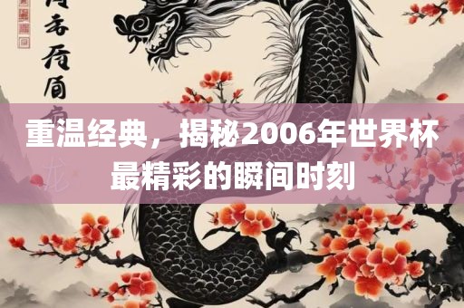 重温经典，揭秘2006年世界杯最精彩的瞬间时刻