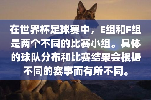 在世界杯足球赛中，E组和F组是两个不同的比赛小组。具体的球队分布和比赛结果会根据不同的赛事而有所不同。