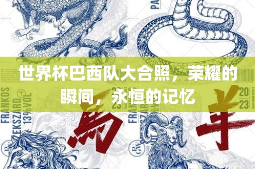 世界杯巴西队大合照，荣耀的瞬间，永恒的记忆