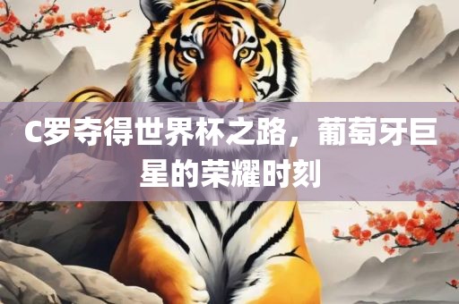 C罗夺得世界杯之路，葡萄牙巨星的荣耀时刻