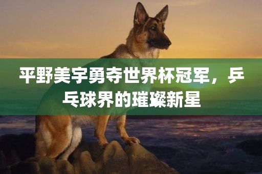 平野美宇勇夺世界杯冠军，乒乓球界的璀璨新星