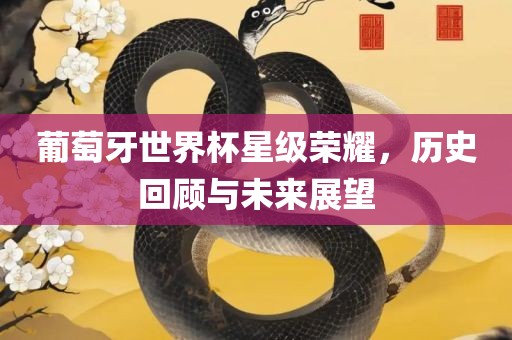 葡萄牙世界杯星级荣耀，历史回顾与未来展望
