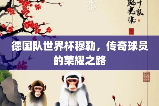 德国队世界杯穆勒，传奇球员的荣耀之路