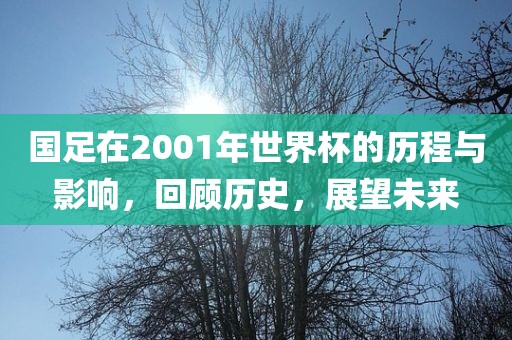国足在2001年世界杯的历程与影响，回顾历史，展望未来