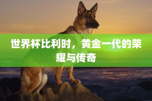 世界杯比利时，黄金一代的荣耀与传奇