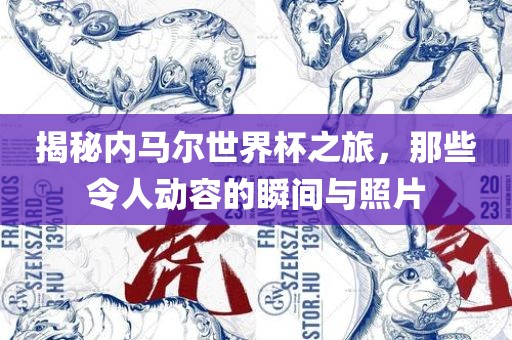 揭秘内马尔世界杯之旅，那些令人动容的瞬间与照片
