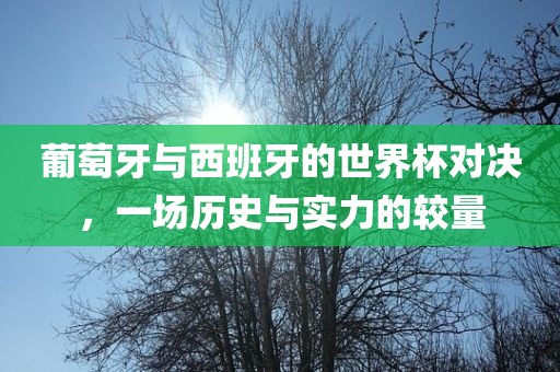 葡萄牙与西班牙的世界杯对决，一场历史与实力的较量