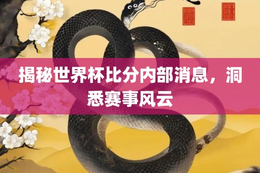 揭秘世界杯比分内部消息，洞悉赛事风云
