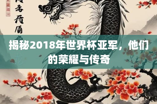 揭秘2018年世界杯亚军，他们的荣耀与传奇