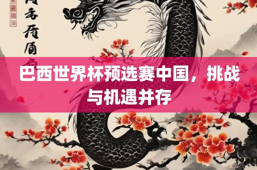 巴西世界杯预选赛中国，挑战与机遇并存