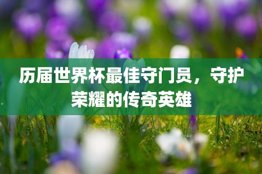 历届世界杯最佳守门员，守护荣耀的传奇英雄