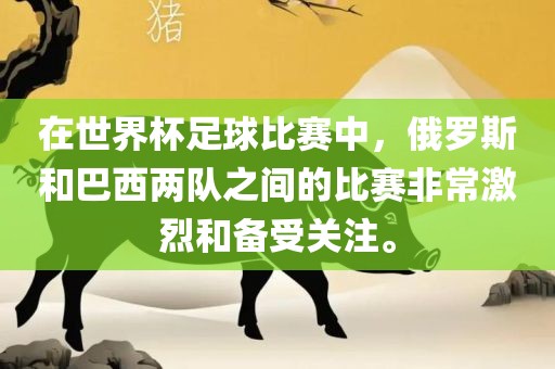 在世界杯足球比赛中，俄罗斯和巴西两队之间的比赛非常激烈和备受关注。