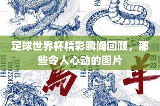 足球世界杯精彩瞬间漯河市盈旭机械设备有限公司回顾，那些令人心动的图片